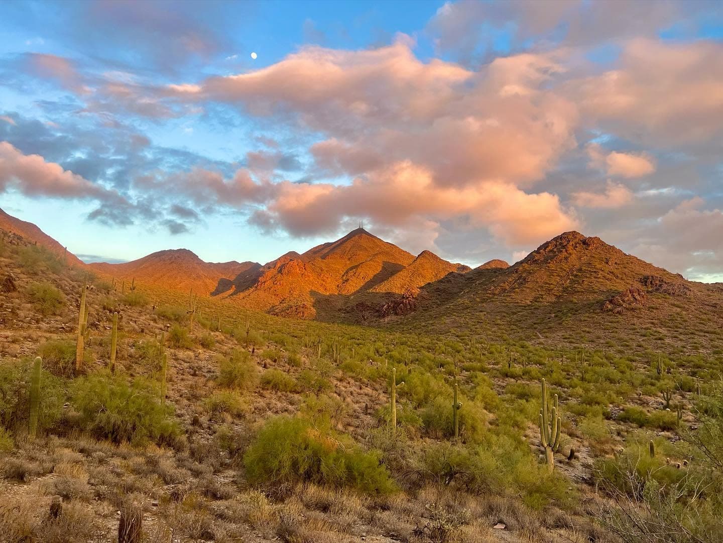Windgate Ranch