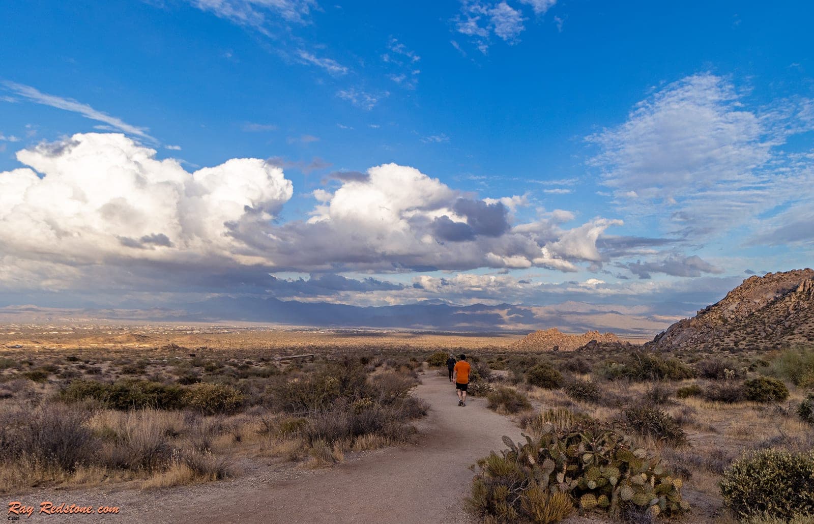 Sereno Canyon