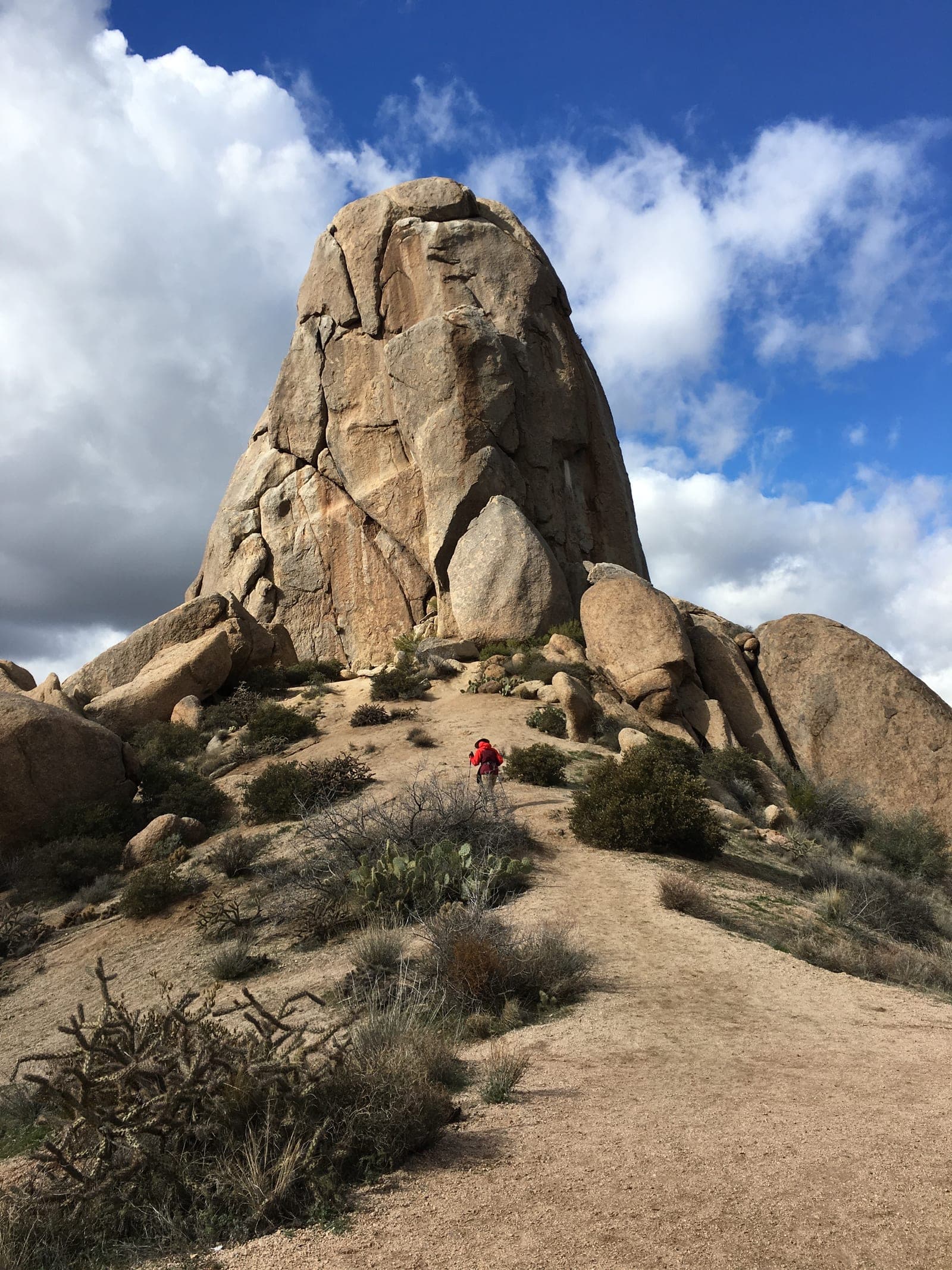 McDowell Mountain Ranch
