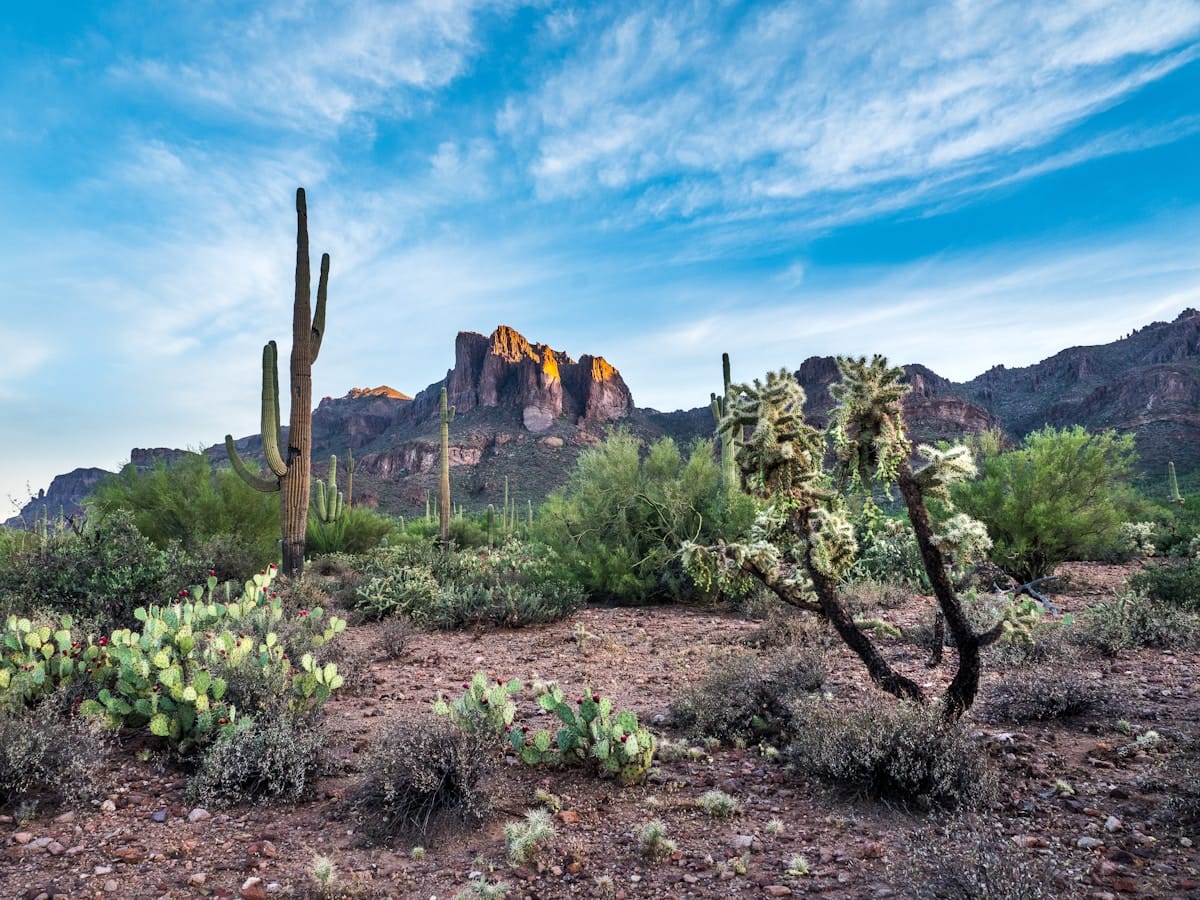 Estancia, a guard-gated luxury community at Pinnacle Peak in Scottsdale