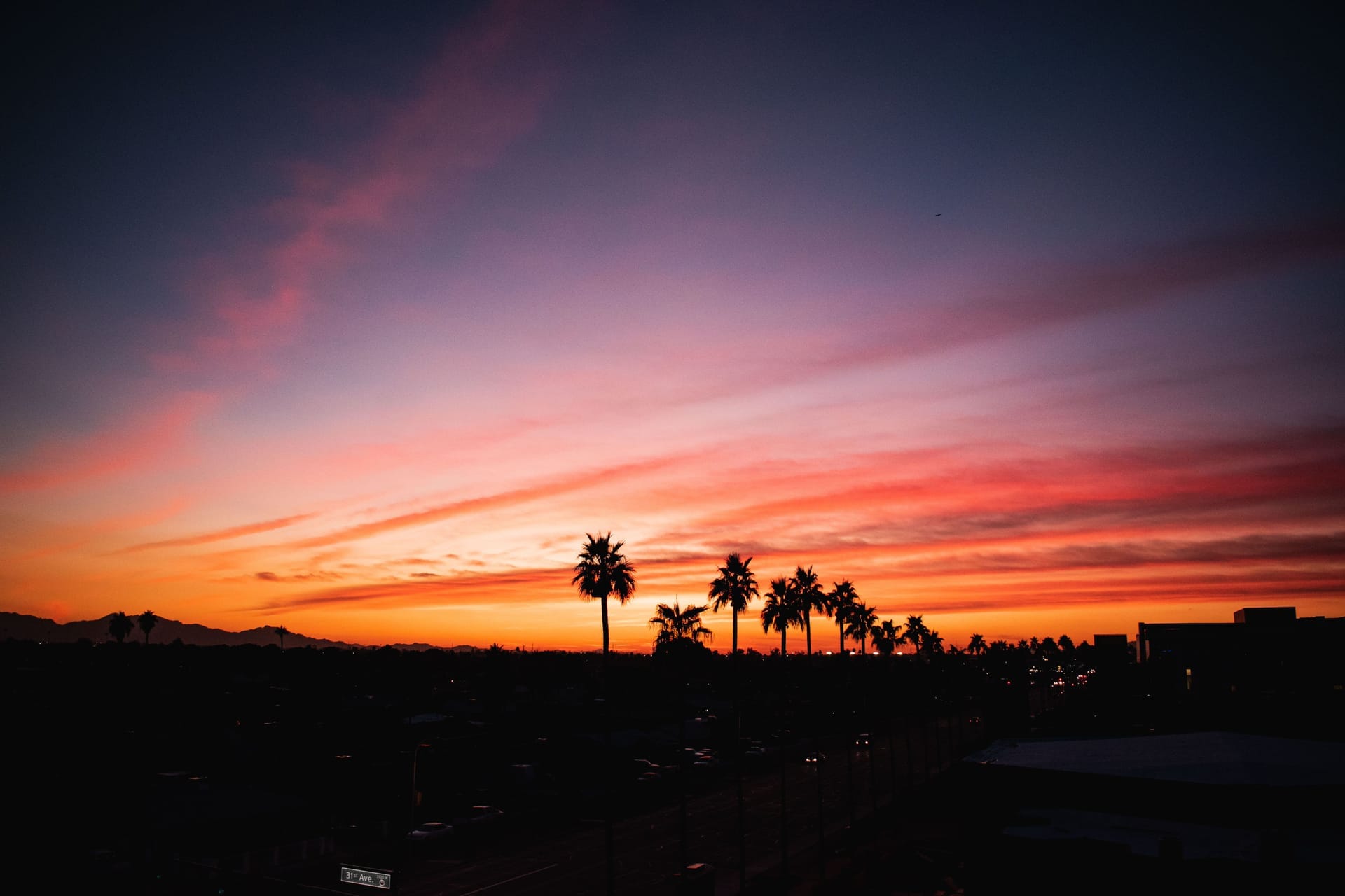 Stunning twilight view of palm trees silhouetted against a vibrant sunset in Phoenix, Arizona