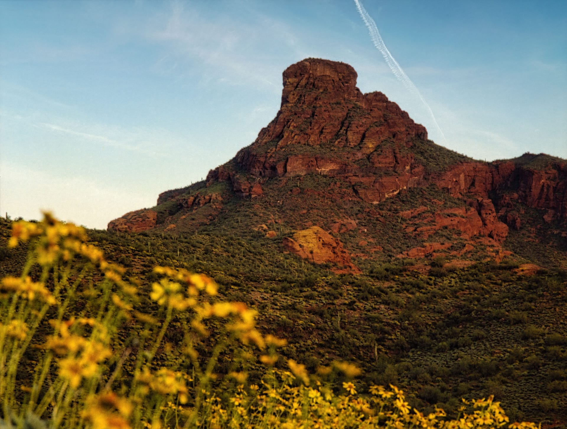 Beautiful landscape view of Red Mountain with desert vegetation in Arizona, USA — Paradise Valley, ZIP 85253