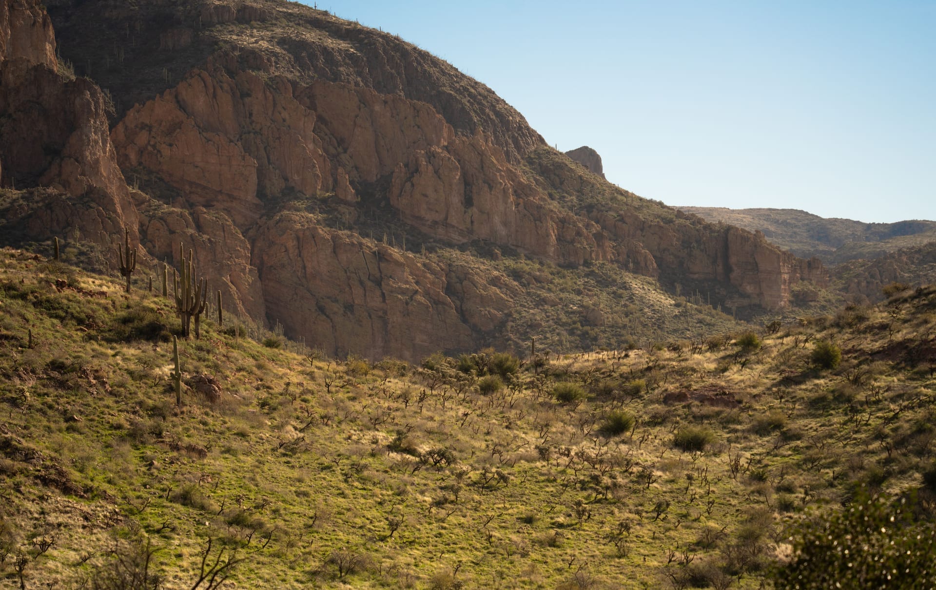 Capture of the Superstition Mountains in Arizona with clear skies and cacti — Chandler, ZIP 85286