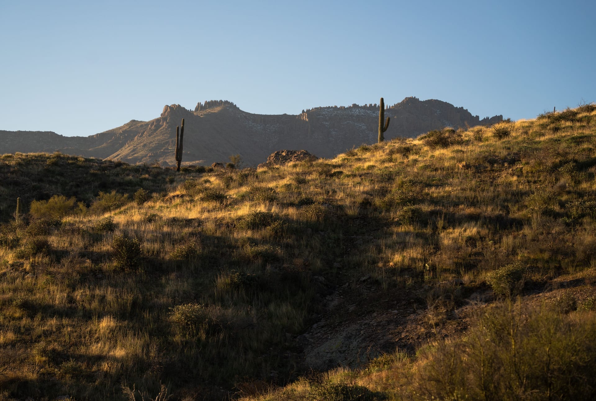Scenic view of the Superstition Mountains with desert vegetation at sunset in Arizona — North Scottsdale, ZIP 85262