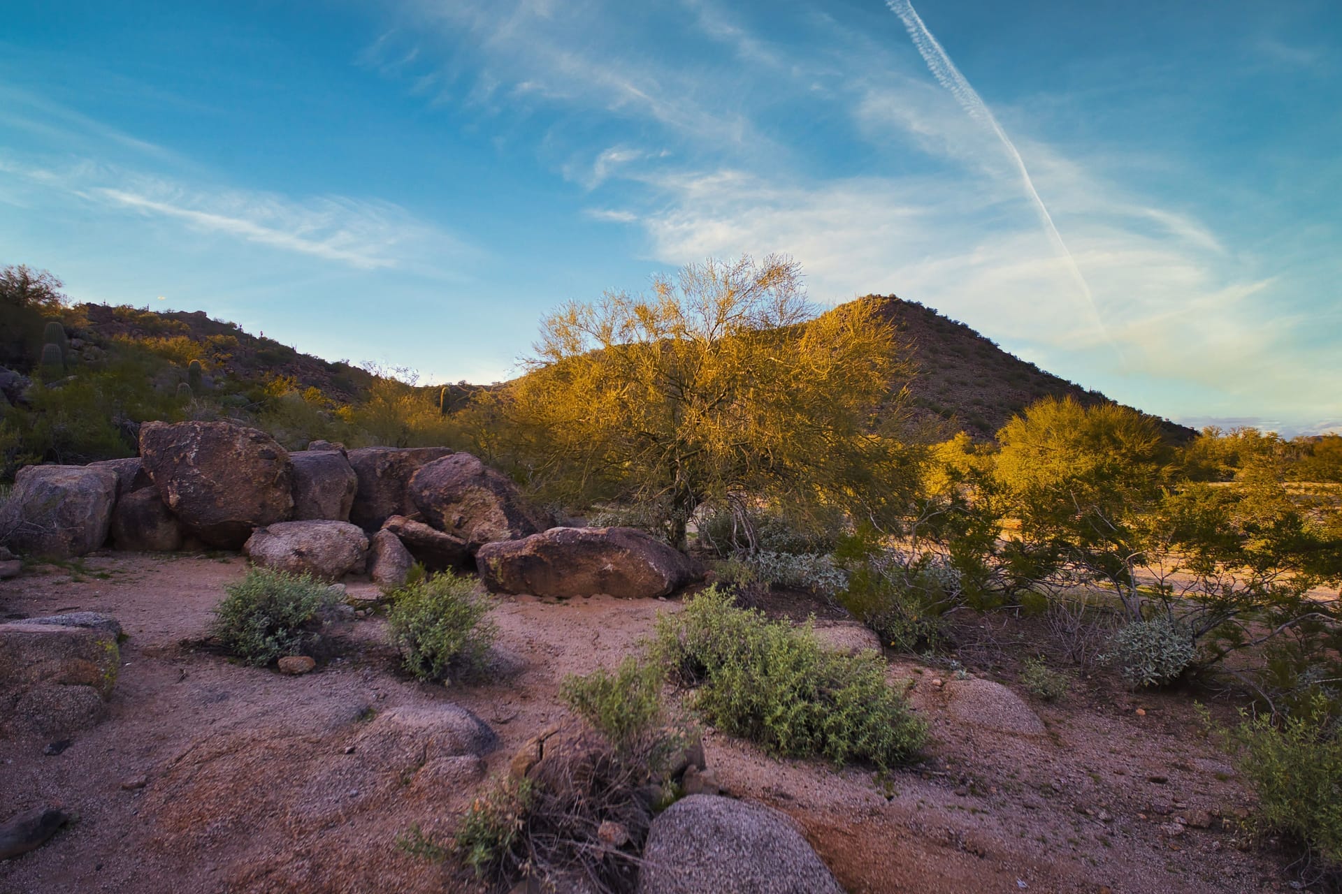 Explore the natural beauty of Phoenix, Arizona with this stunning desert landscape shot, rich in earthy tones