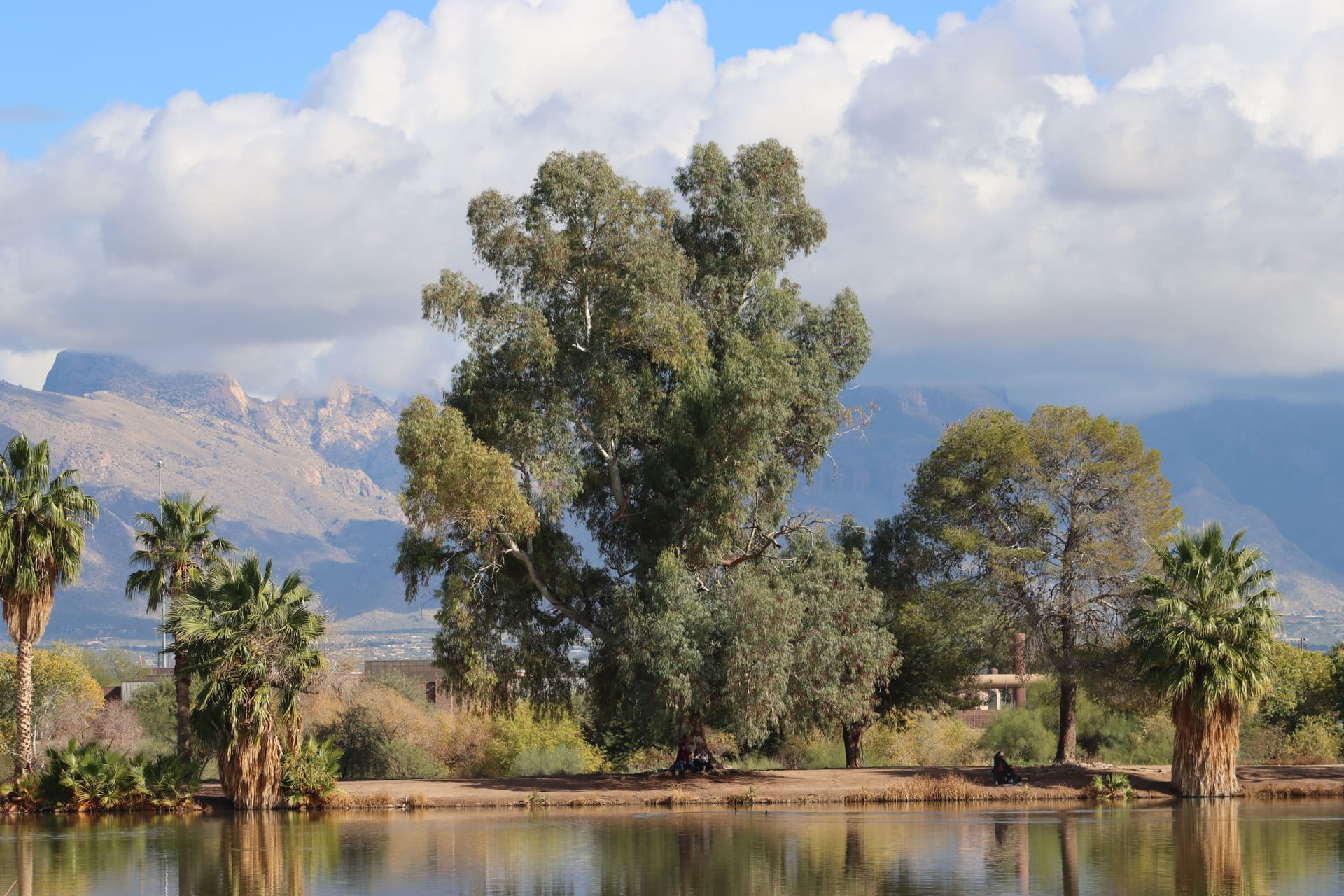 Beautiful landscape with mountains and trees reflected in water in Tucson, Arizona