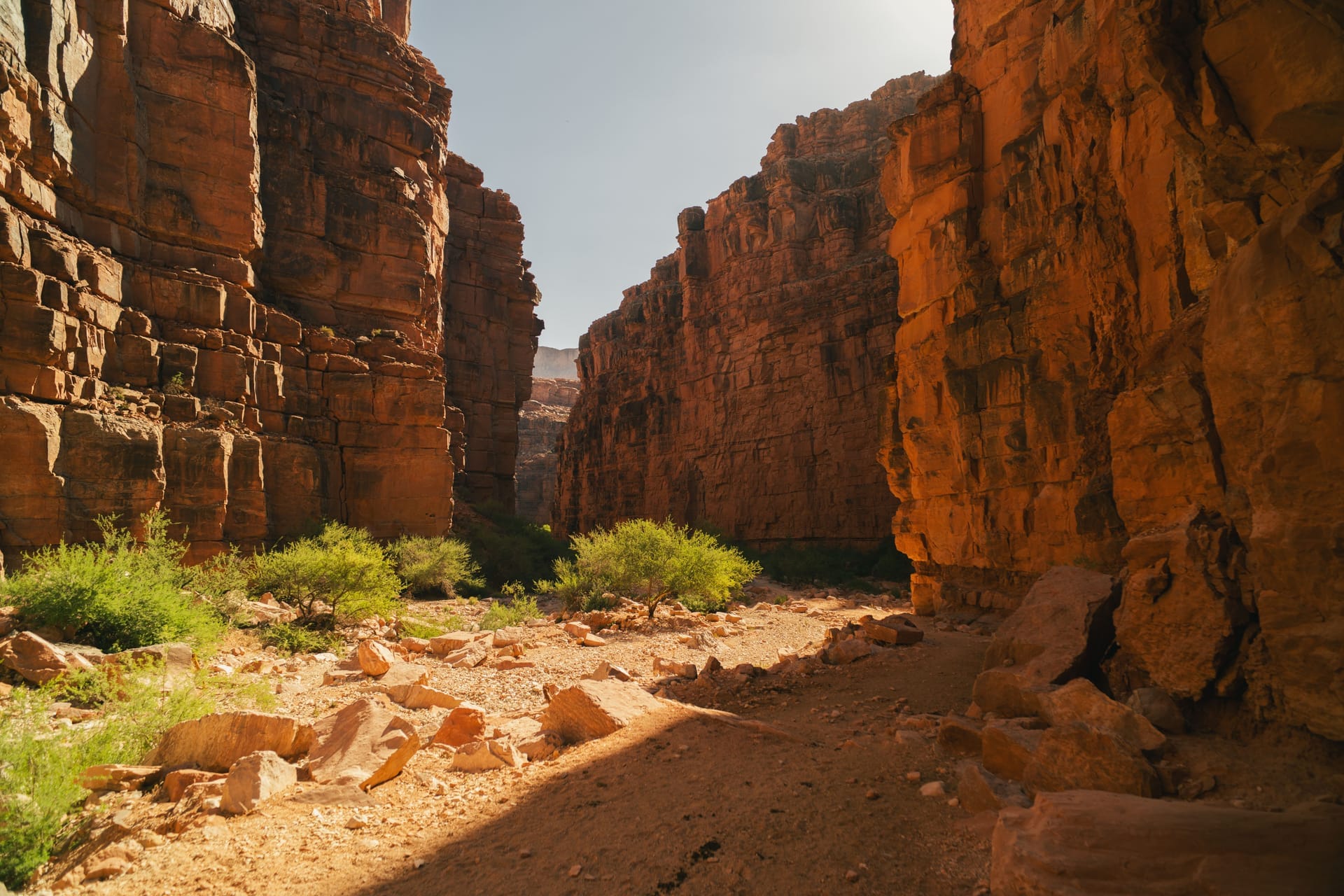 Explore the breathtaking beauty of an Arizona desert canyon bathed in warm sunlight — ZIP 85396