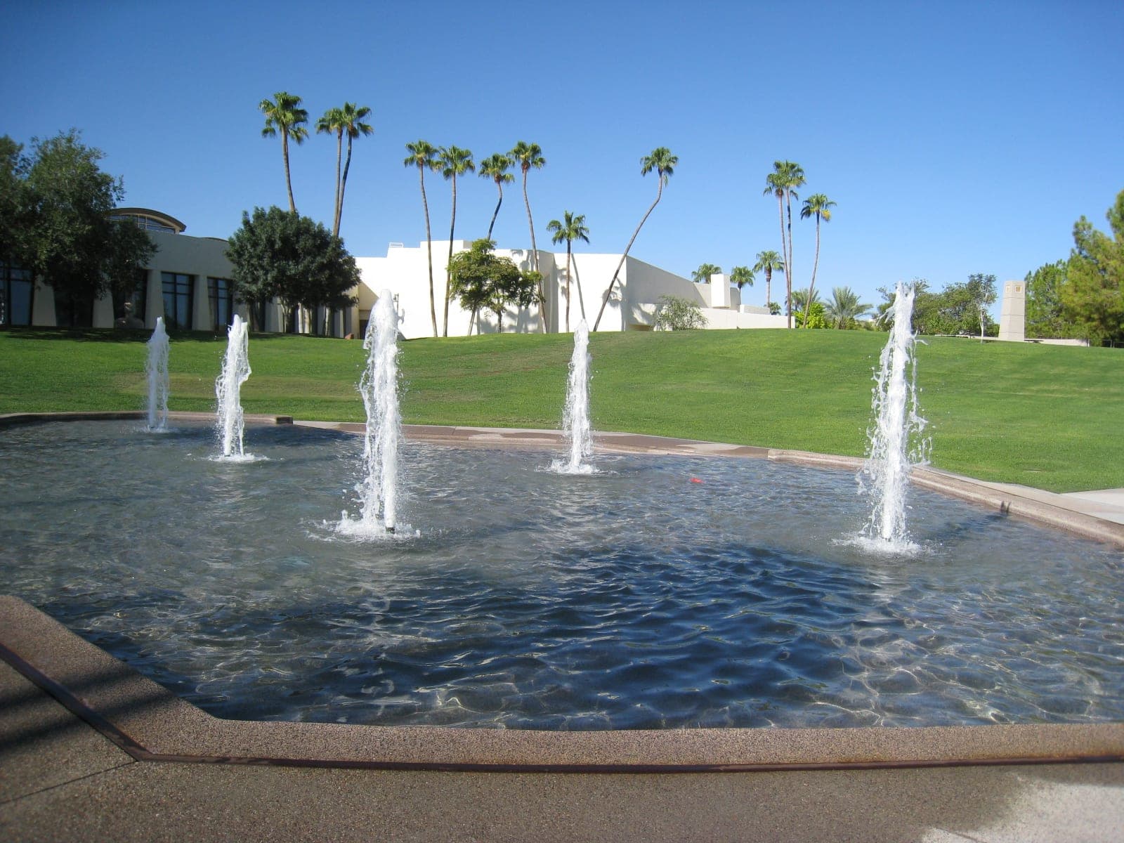 The Goldwater