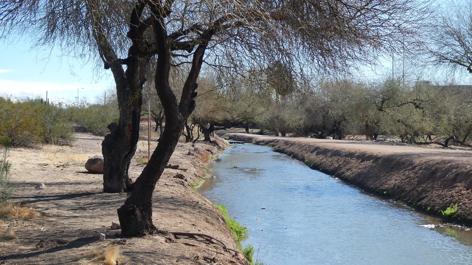 Papago Parkway / New Papago Parkway