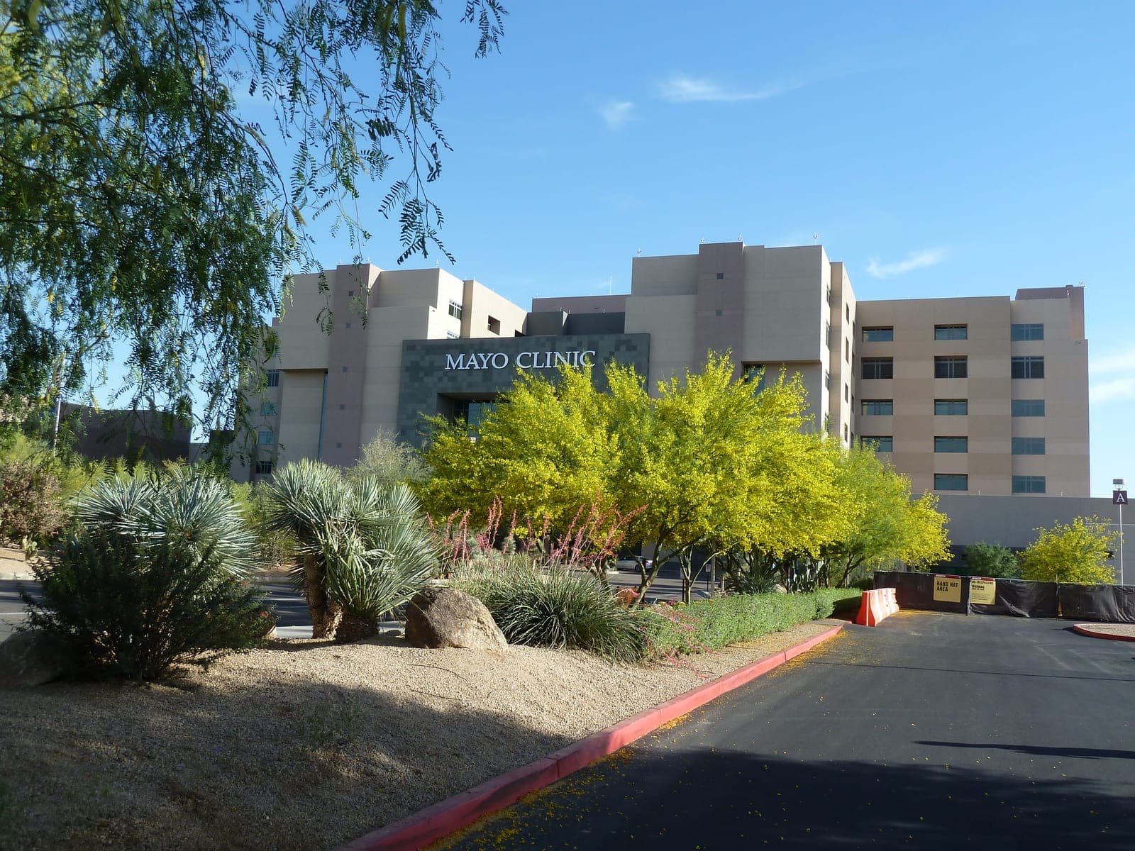 Desert Ridge