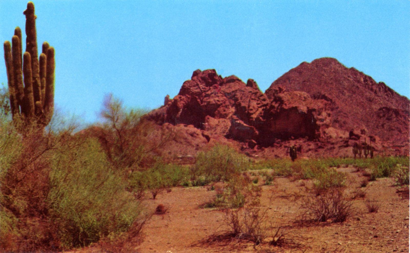 Paradise Reserve