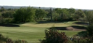 Cow Track Estates