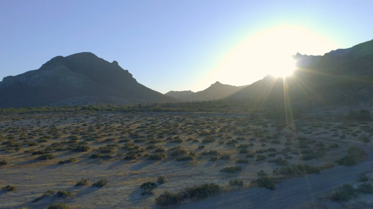 Sonoran desert at golden hour, McDowell range in the distance — North Scottsdale, Arizona