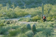 San Tan Mountain Regional Park — Park · 6533 W Phillips Rd, Queen Creek